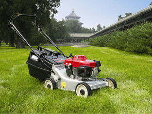 Grass Trimmer Garden Cutting Machine , 6.5HP 173CC Self Propelled Gas Lawn Mower