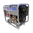 Direct Injection 220v Small Three Phase Diesel Generator 3600RPM